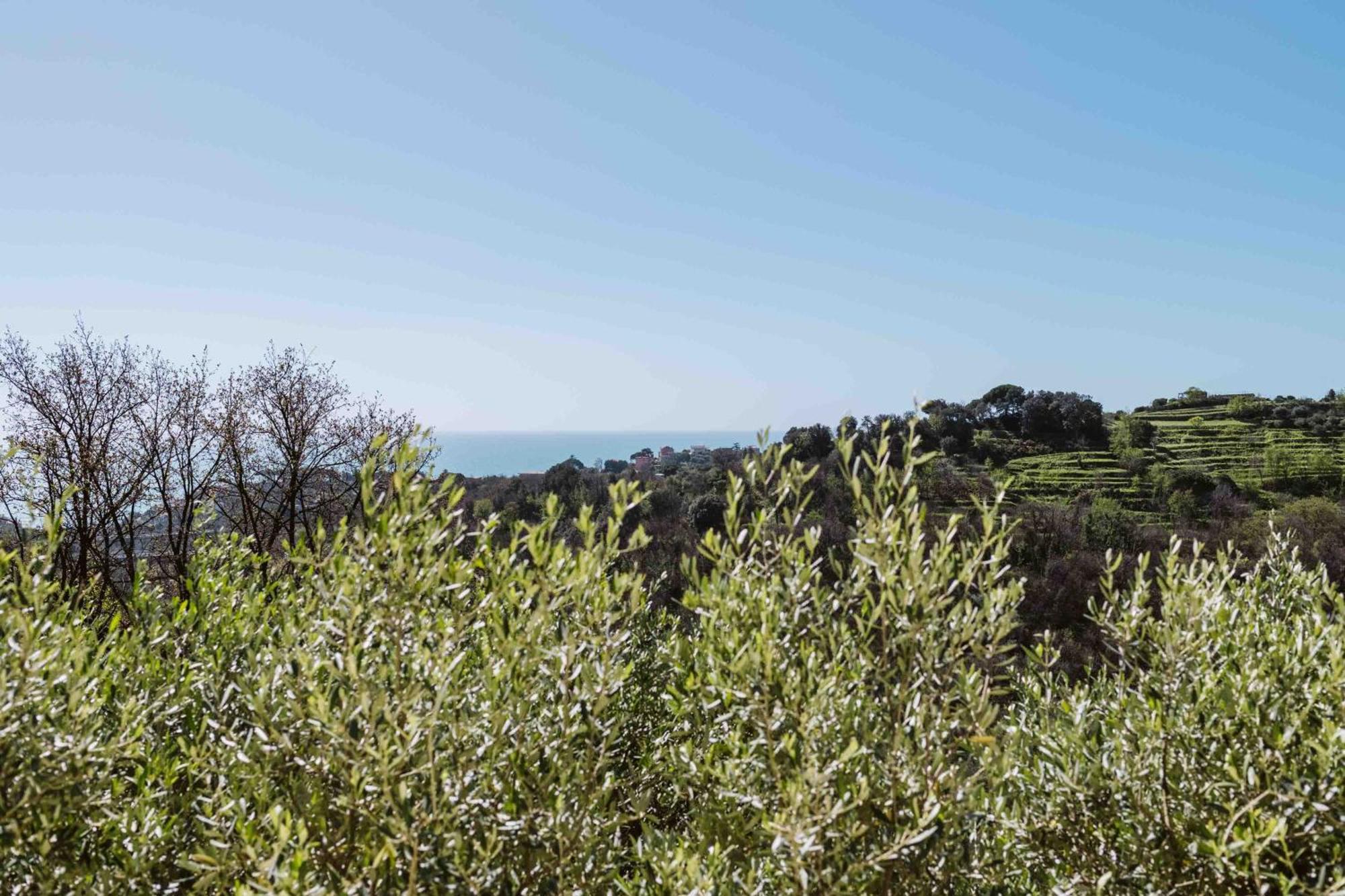 Abc Affittacamere Celle Ligure Exterior photo